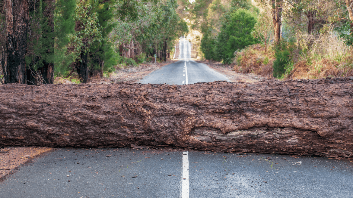 How to Handle Unexpected Events During a Move