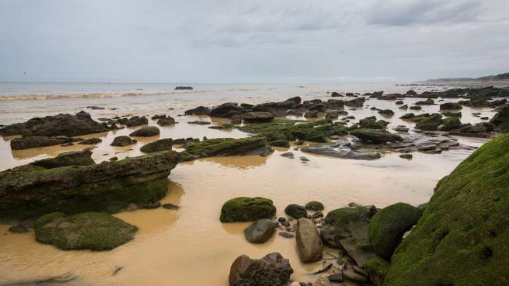 El Nino Preparedness: A Comprehensive Guide by Centric Movers