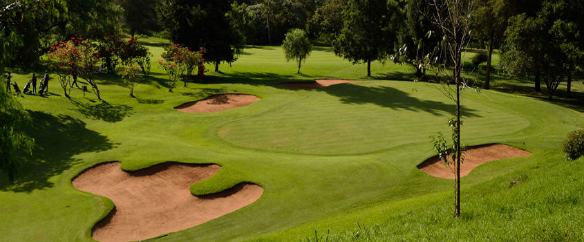 Golf Courses In Kenya: A Guide For Expats & Beginners